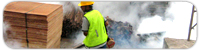 Fogging Services